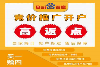SEM运营策略案例分析